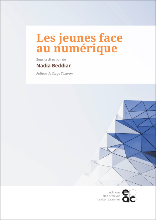 Boek Les jeunes face au numérique 