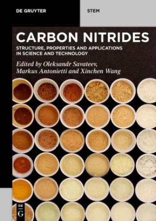 Buch Carbon Nitrides Oleksandr Savateev