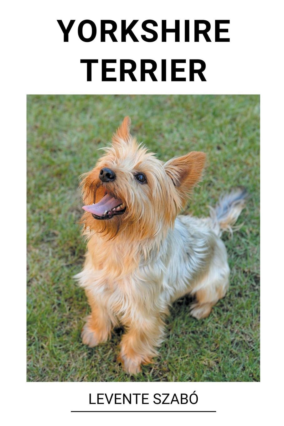 Book Yorkshire Terrier 