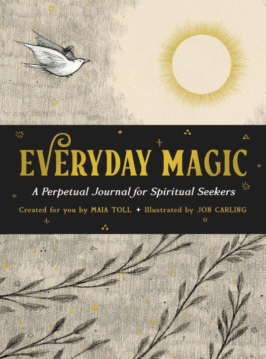 Kniha Everyday Magic Maia Toll