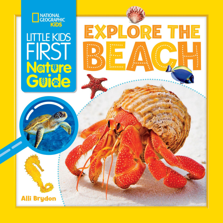 Kniha Explore the Beach Alli Brydon