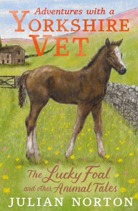 Kniha Adventures with a Yorkshire Vet: The Lucky Foal and Other Animal Tales Julian Norton