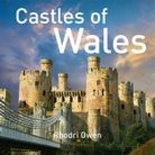 Könyv Castles of Wales Rhodri Owen