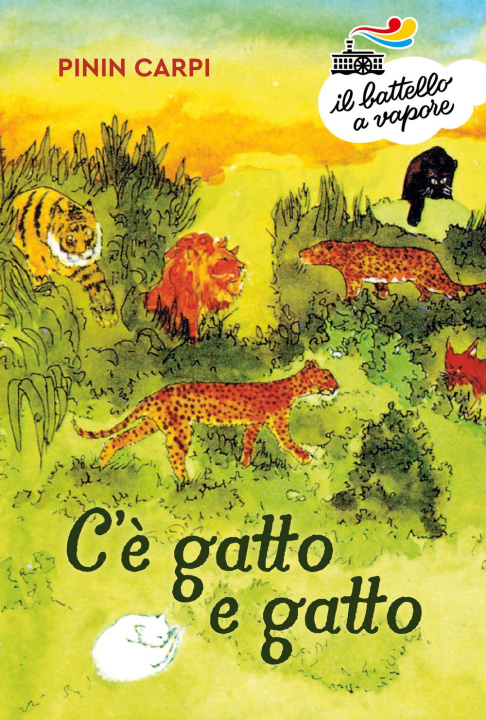 Könyv C'è gatto e gatto Pinin Carpi