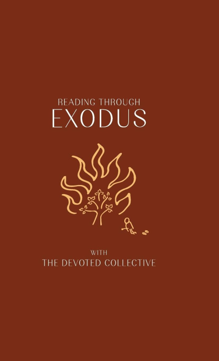 Kniha Reading Through Exodus Aimée Walker