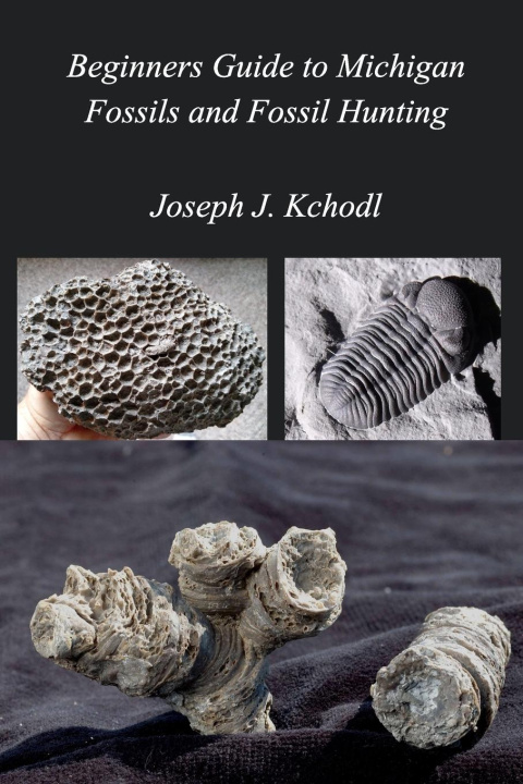 Книга Beginners Guide to Michigan Fossils and Fossil Hunting 
