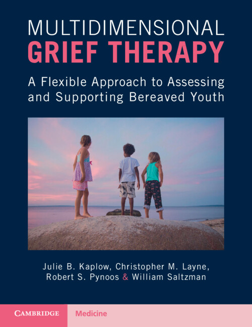 Libro Multidimensional Grief Therapy Julie B. Kaplow