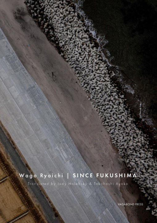 Kniha Since Fukushima Ryoichi Wago