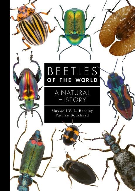 Kniha Beetles of the World – A Natural History Maxwell V. L. Barclay
