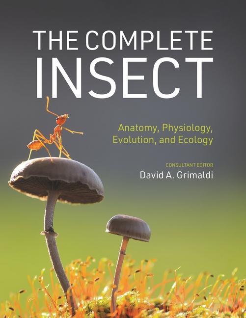 Könyv The Complete Insect – Anatomy, Physiology, Evolution, and Ecology David A. Grimaldi