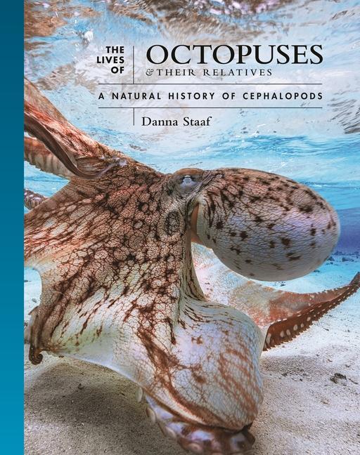 Könyv The Lives of Octopuses and Their Relatives – A Natural History of Cephalopods Danna Staaf