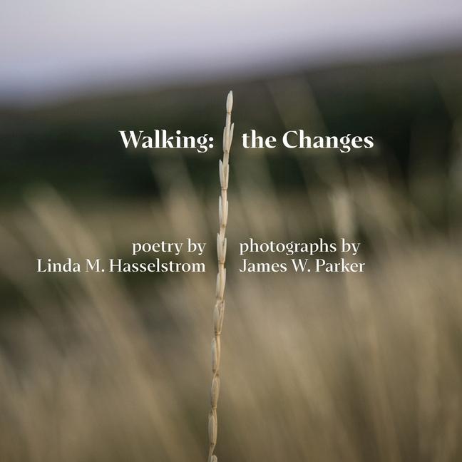 Knjiga Walking the Changes James W. Parker