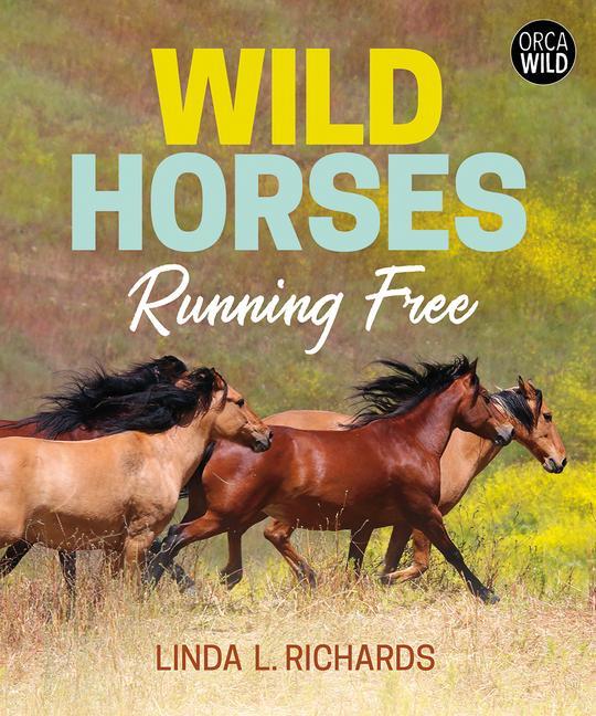 Kniha Wild Horses: Running Free 