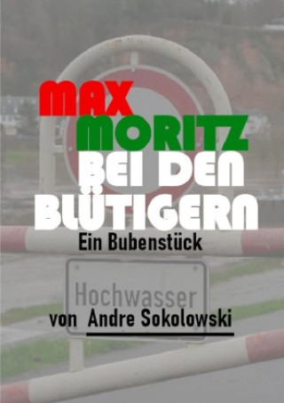 Buch MAX MORITZ BEI DEN BLÜTIGERN Andre Sokolowski