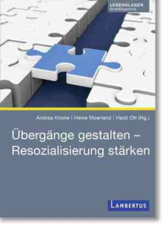 Kniha Übergänge gestalten - Resozialisierung stärken Heike Moerland