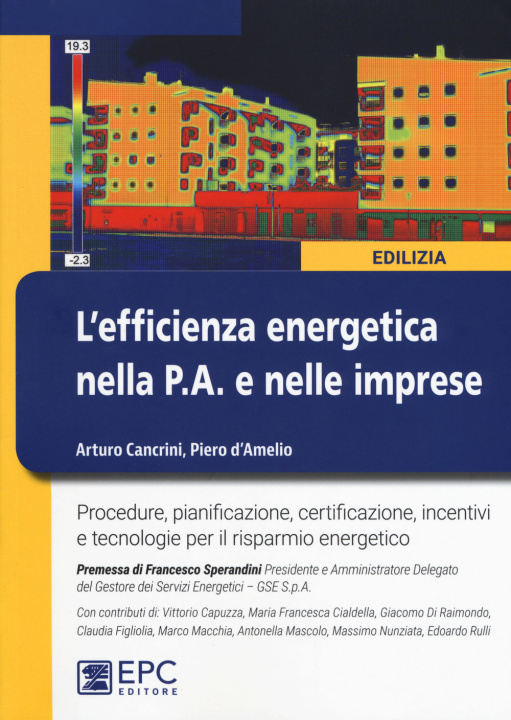Könyv efficienza energetica nella P.A. e nelle imprese Arturo Cancrini