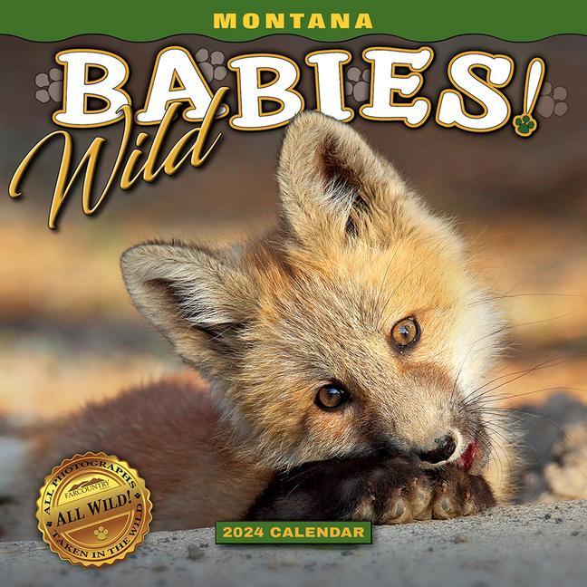 Książka 2024 Montana Wild Babies Wall Calendar 