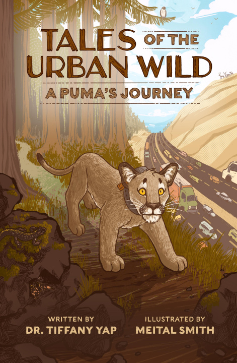 Książka Tales of the Urban Wild: A Puma's Journey 