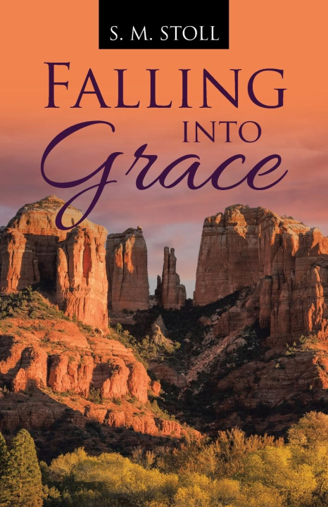 Knjiga Falling into Grace S. M. Stoll