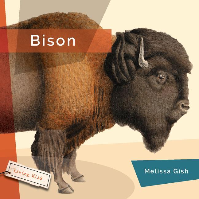 Knjiga Bison Gish