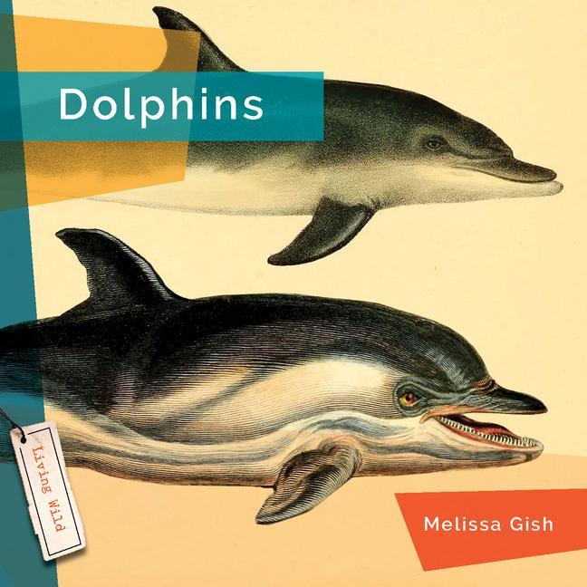 Book Dolphins Skog