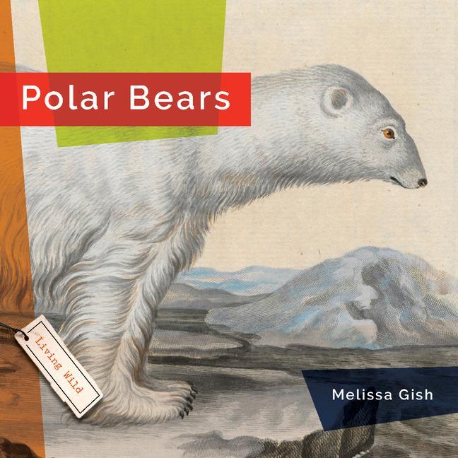 Book Polar Bears Hanel