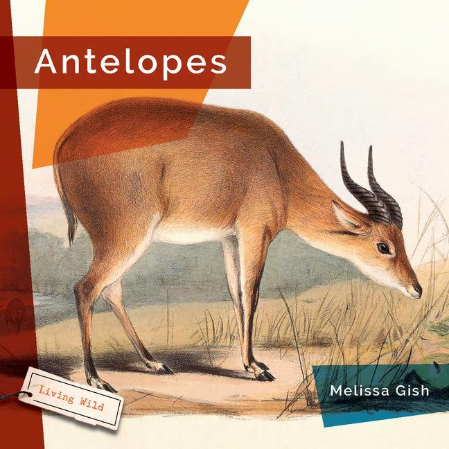 Libro Antelopes 