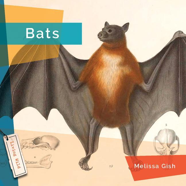 Knjiga Bats Gish
