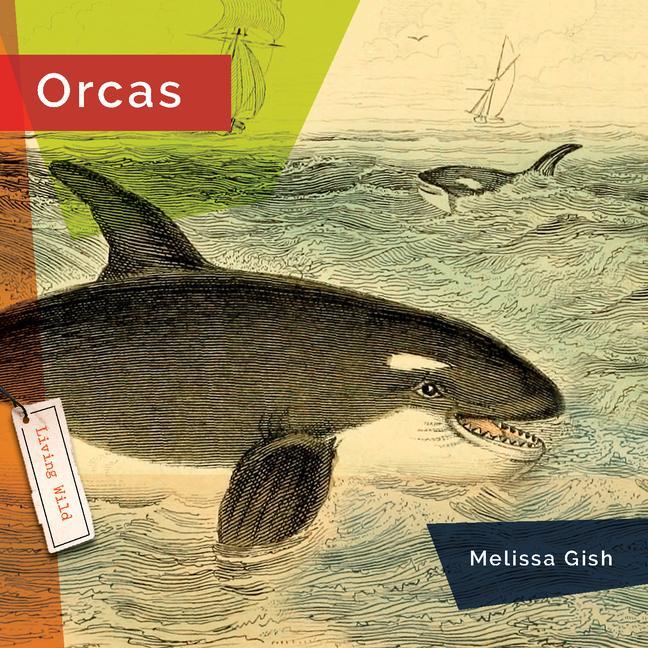 Knjiga Orcas Gish