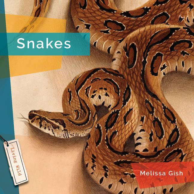 Book Snakes Wimmer