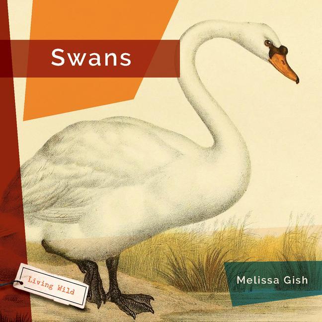 Book Swans Helget