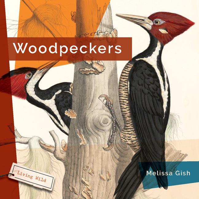 Carte Woodpeckers 