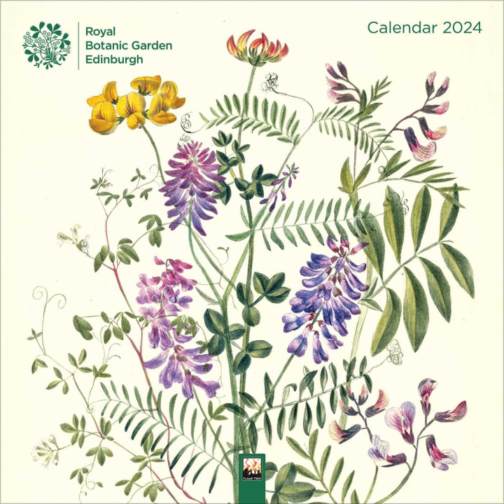 Naptár/Határidőnapló Royal Botanic Garden Edinburgh Wall Calendar 2024 (Art Calendar) 