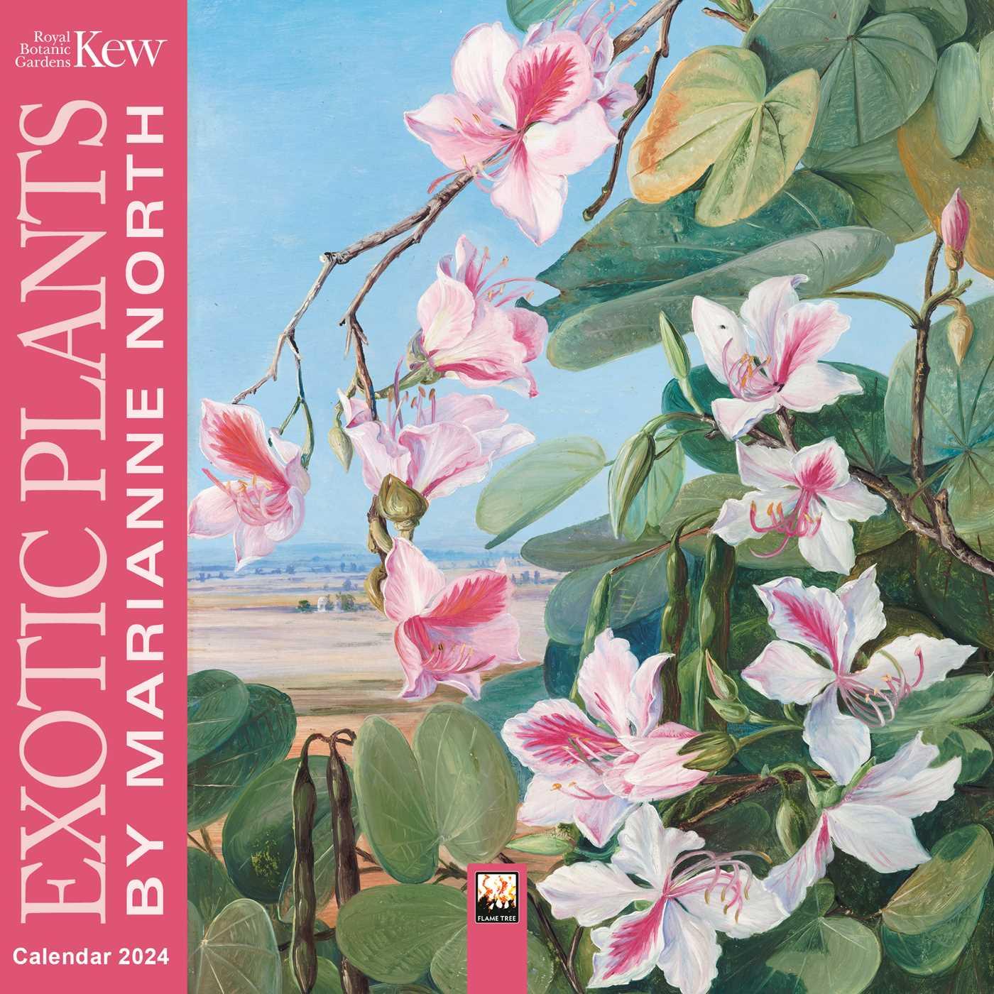 Naptár/Határidőnapló Kew Gardens: Exotic Plants by Marianne North Mini Wall Calendar 2024 (Art Calendar) 