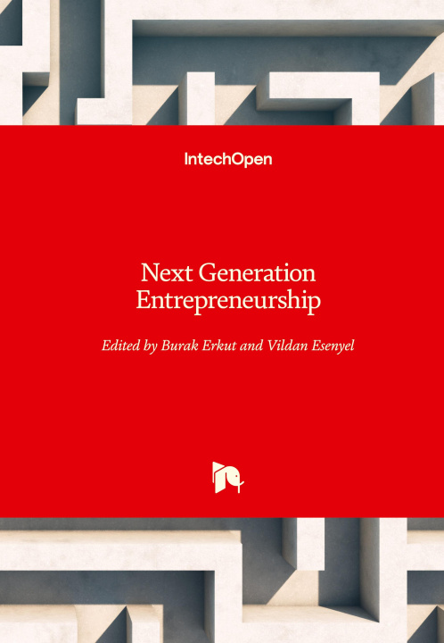 Knjiga Next Generation Entrepreneurship Vildan Esenyel