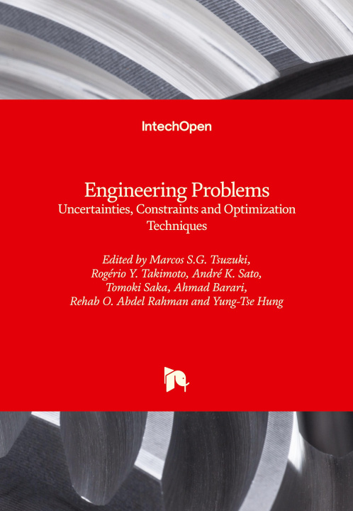 Knjiga Engineering Problems Rogério Y. Takimoto