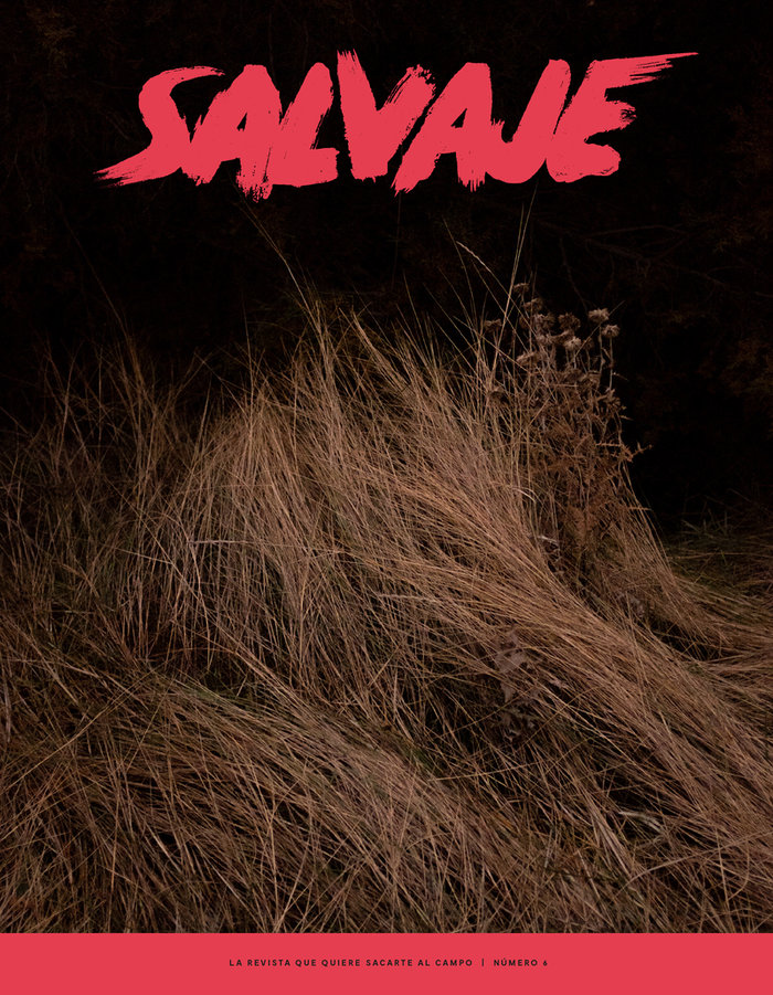 Knjiga SALVAJE 6 