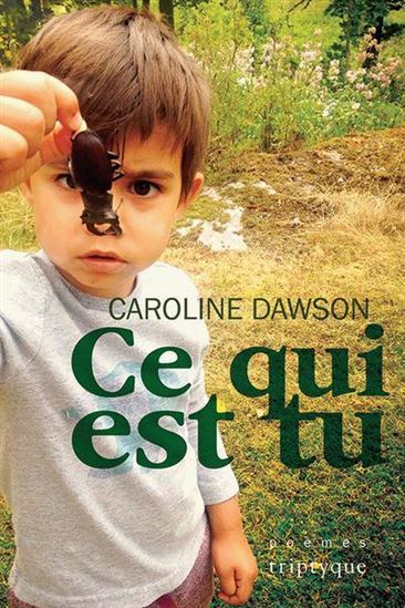 Knjiga CE QUI EST TU DAWSON CAROLINE