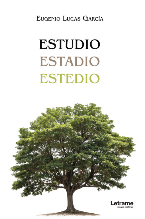 Book Estudio, estadio, estedio Lucas García