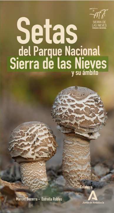 Книга Setas del Parque Nacional Sierra de las Nieves y su ámbito Becerra Parra