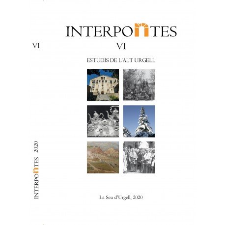 Knjiga Interpontes VI 