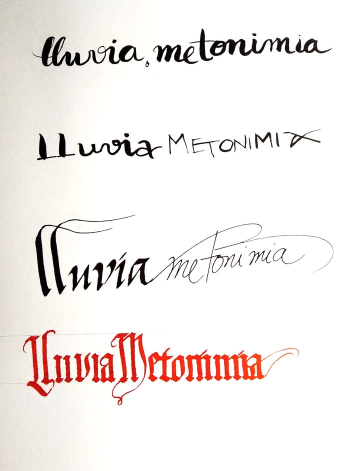 Buch LLUVIA METONIMIA Andújar
