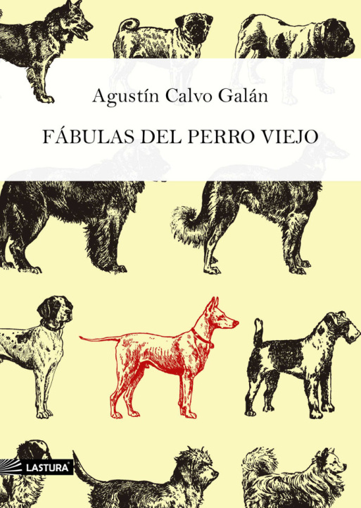Kniha FÁBULAS DEL PERRO VIEJO Calvo Galán