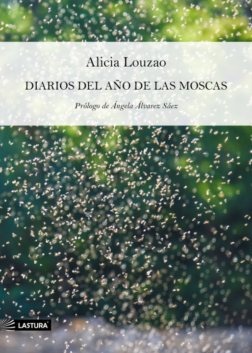 Kniha DIARIOS DEL AÑO DE LAS MOSCAS Louzao