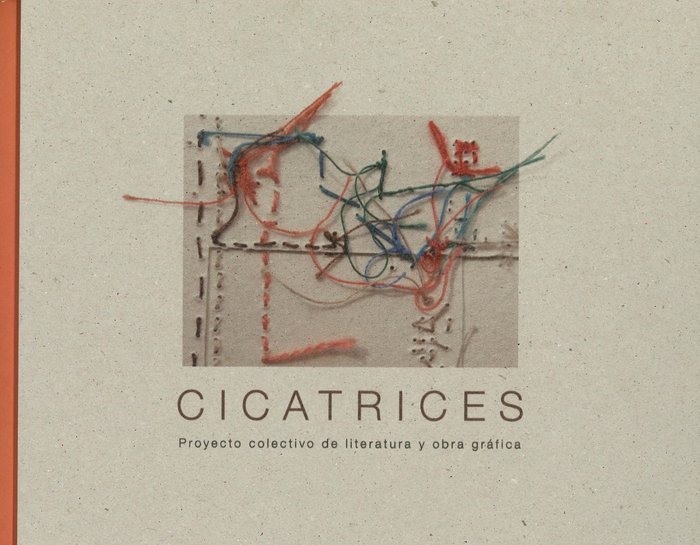 Boek CICATRICES Autores