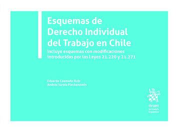 Carte Esquemas de Derecho individual del trabajo en Chile CAAMAÑO ROJO