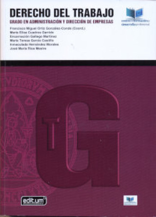Könyv DERECHO DEL TRABAJO. GRADO EN ADMINISTRACION Y DIRECCION DE EMPRE ORTIZ GONZALEZ-CONDE
