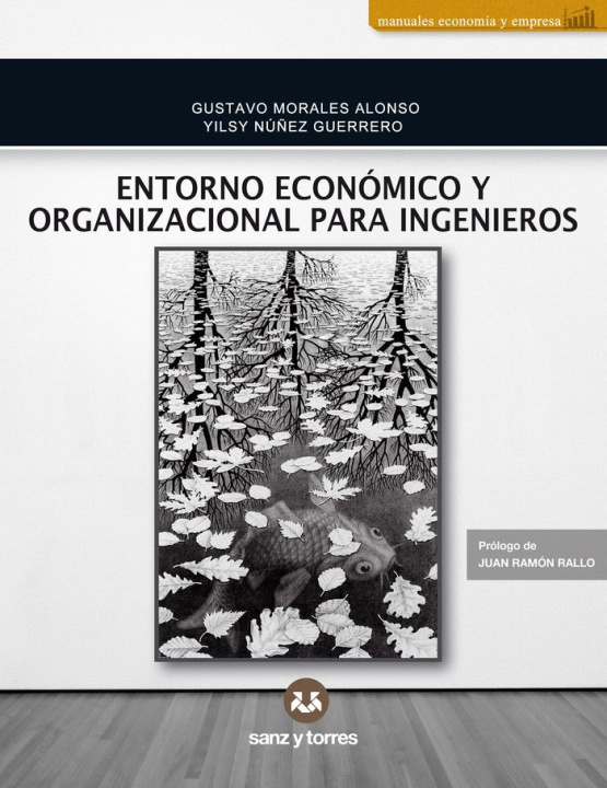 Kniha ENTORNO ECONOMICO Y ORGANIZACIONAL PARA INGENIEROS MORALES ALONSO
