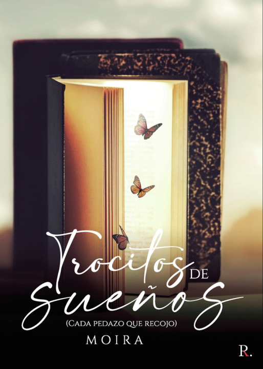 Book Trocitos de sueños Lomas Barrio