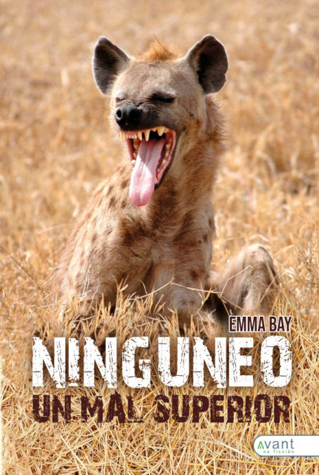 Buch NINGUNEO Bay